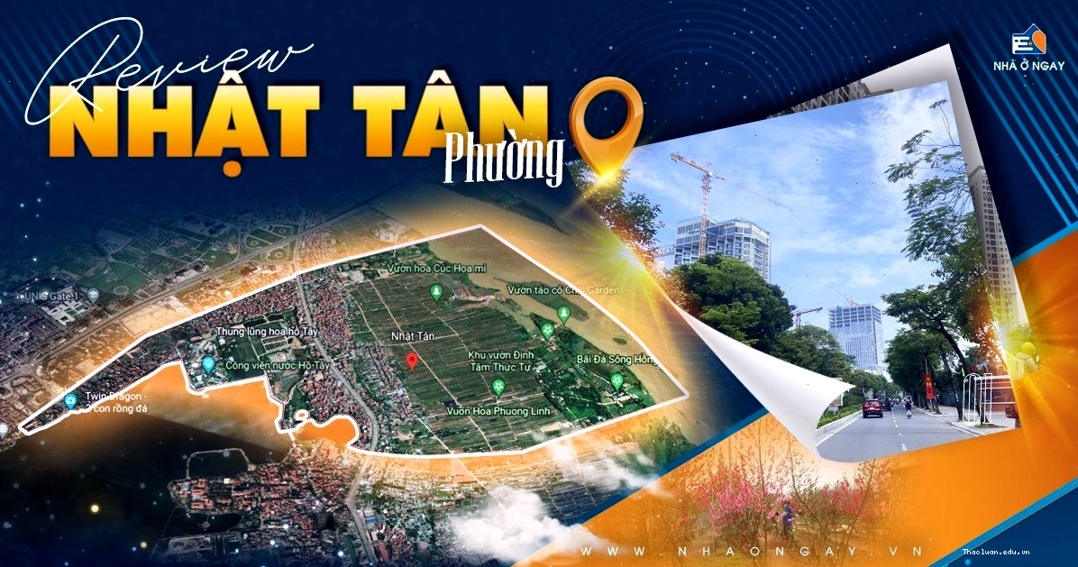 Giao diện một công cụ tra cứu sim phong thủy trực tuyến
