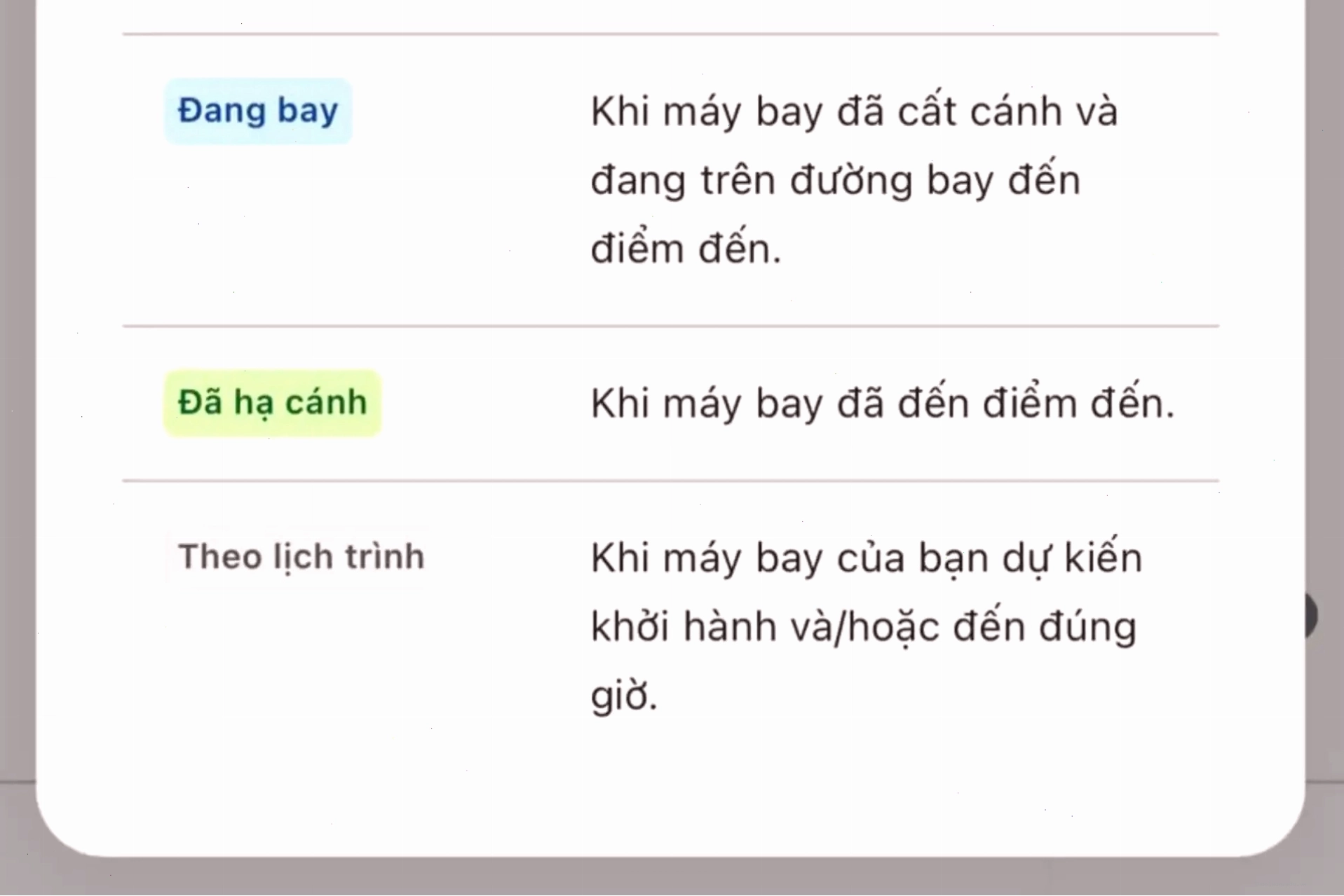 Giao diện tra cứu thông tin chuyến bay trên các nền tảng trực tuyến