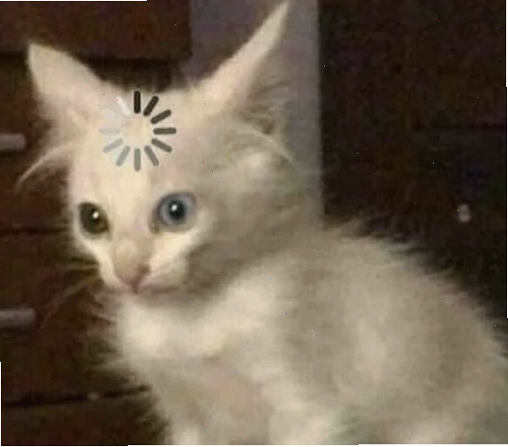 Hình ảnh chú mèo láo đáng yêu