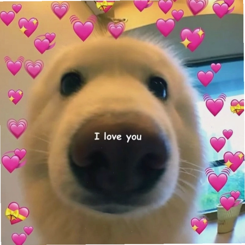 Hình ảnh minh họa ý nghĩa của meme tình yêu trong việc thể hiện cảm xúc