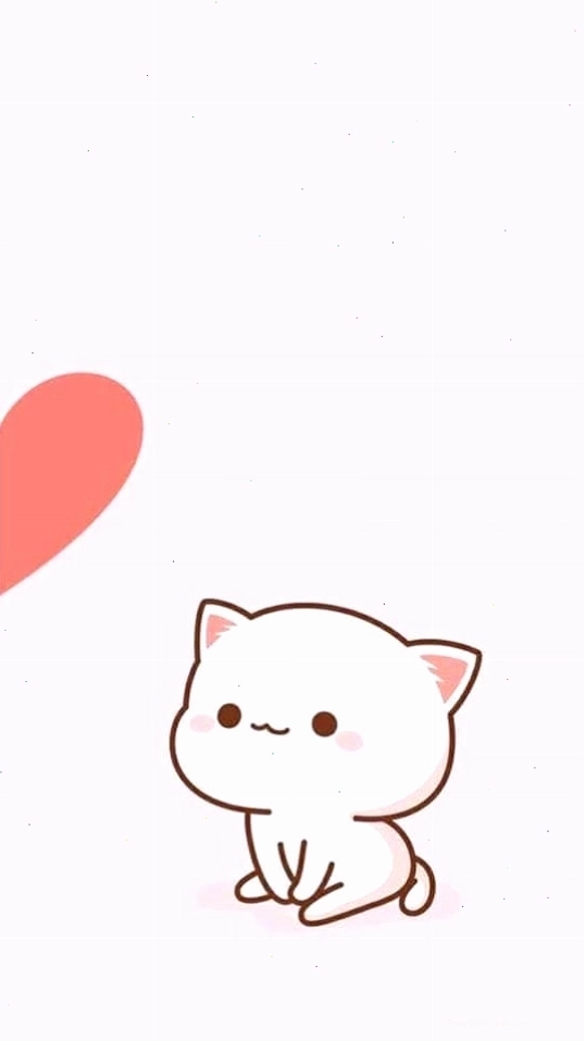 Hình nền đôi mèo cute đáng yêu cho cặp đôi
