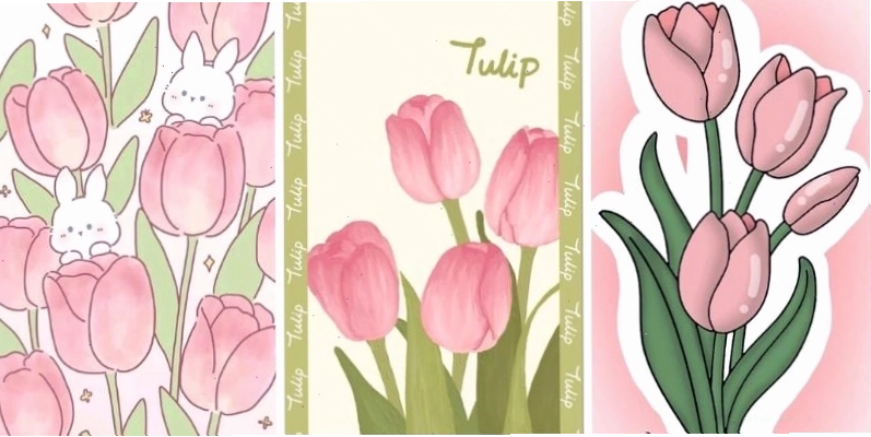 Hình nền hoa tulip cute cho điện thoại