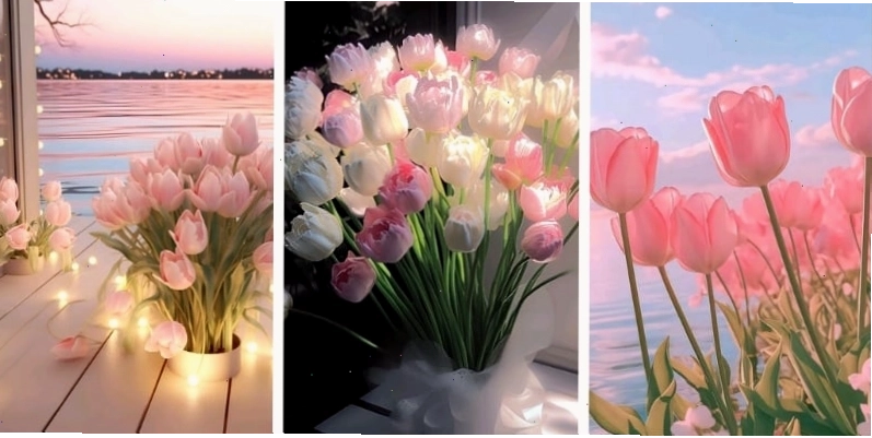 Hình nền hoa tulip hồng phong cách chill