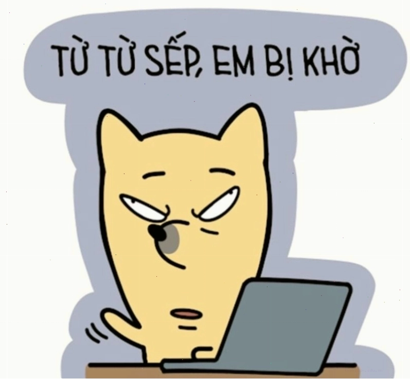 Hình nền máy tính meme về cuộc họp nhàm chán