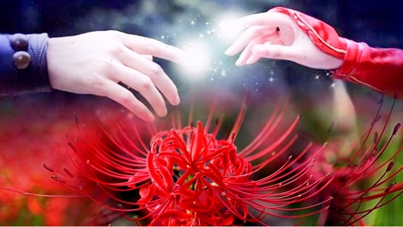 Hoa bỉ ngạn đỏ rực bên dòng Vong Xuyên trong truyền thuyết