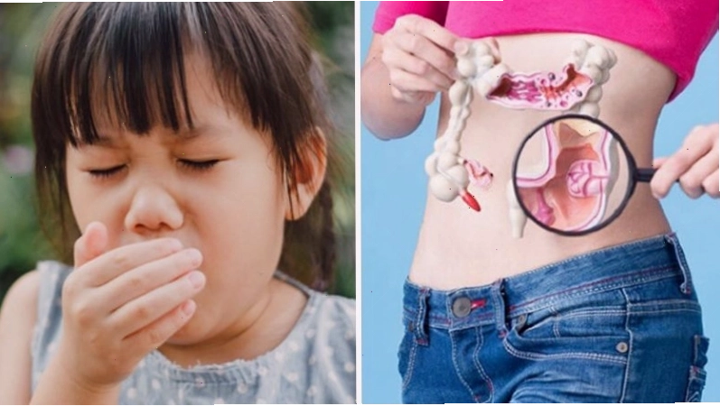 Hoa hồng trắng giúp trị ho, nhuận tràng