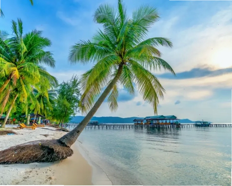 Hoạt động lướt ván diều tại Mũi Né