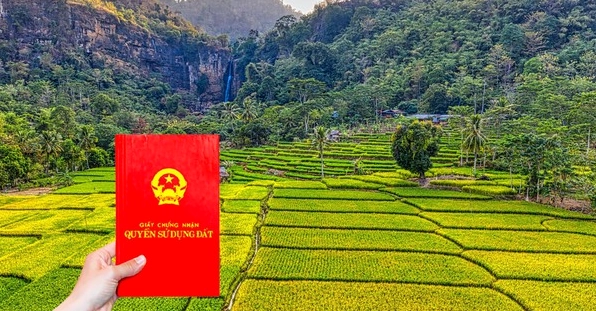 Hướng dẫn tra cứu thông tin sổ đỏ dễ dàng, an toàn năm 2026