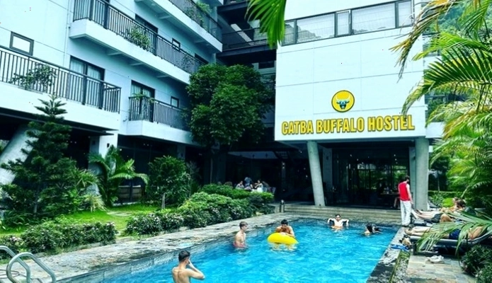 Khách sạn Cát Bà Buffalo Hostel - Không gian thân thiện