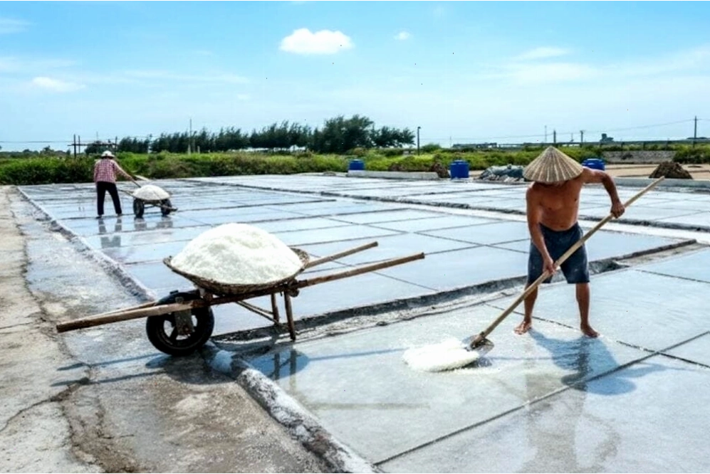 Khám phá nghề làm muối truyền thống của người dân Quất Lâm