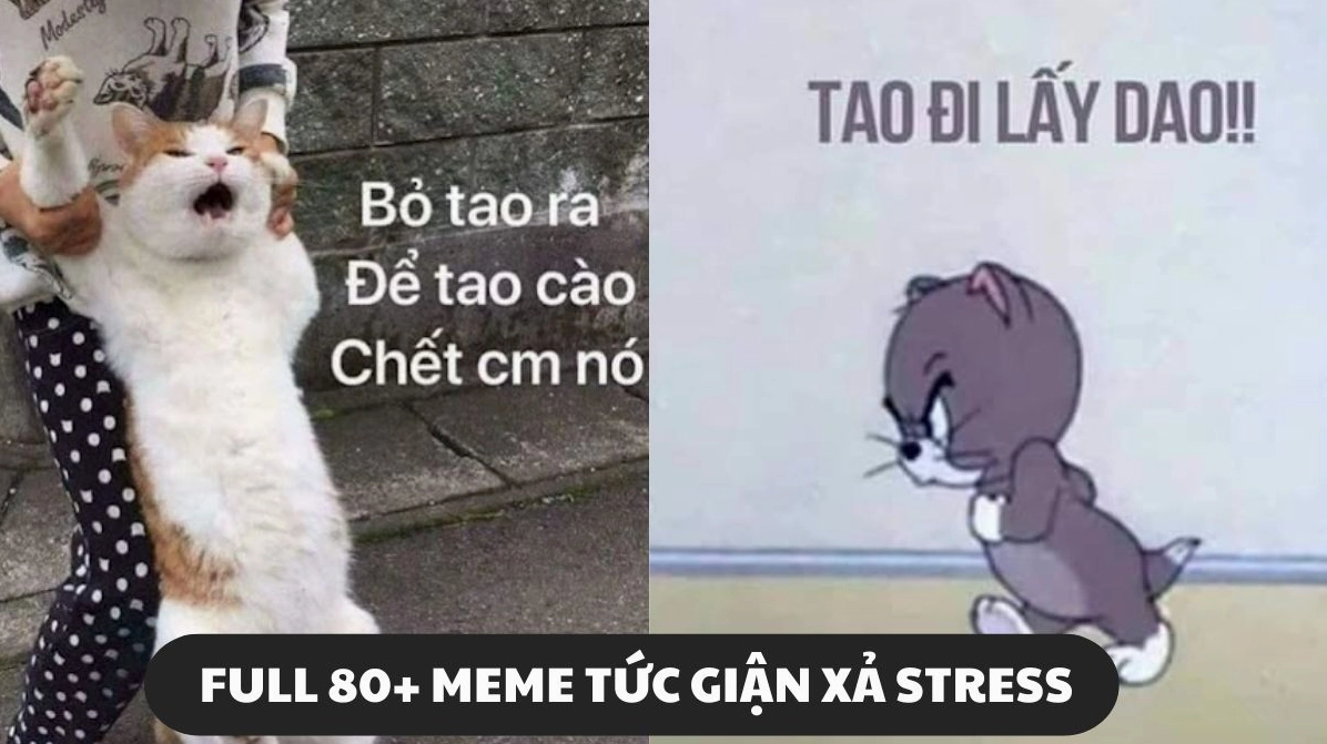 Khám Phá Thế Giới Meme Tức Giận: Biểu Cảm Hài Hước Và Chân Thực