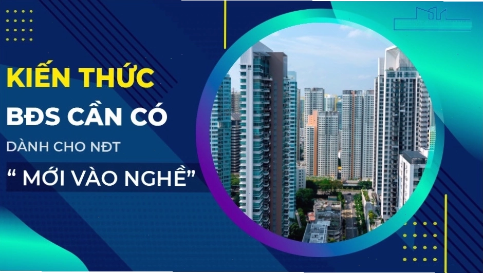 Kiến thức về bất động sản cho người mới bắt đầu