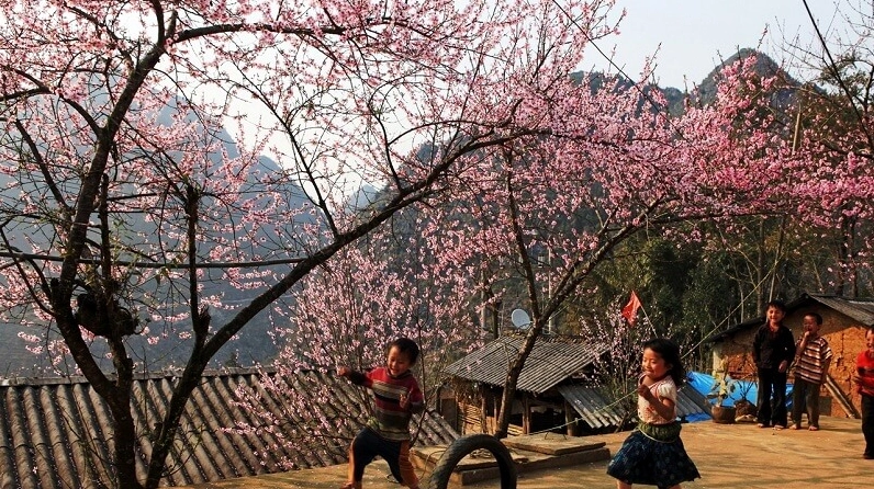 Kinh nghiệm du lịch Sapa: Trọn bộ cẩm nang cho người mới đi lần đầu