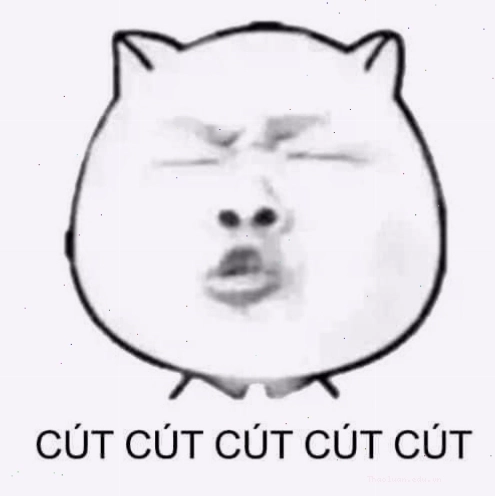 Mặt gấu meme đuổi