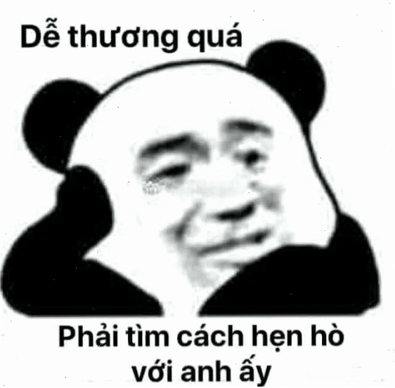 Mặt gấu meme mê trai