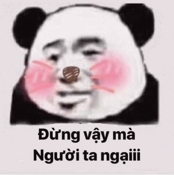 Mặt gấu meme ngại ngùng
