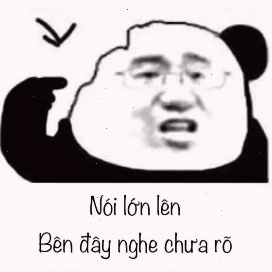 Mặt gấu meme nghe không rõ