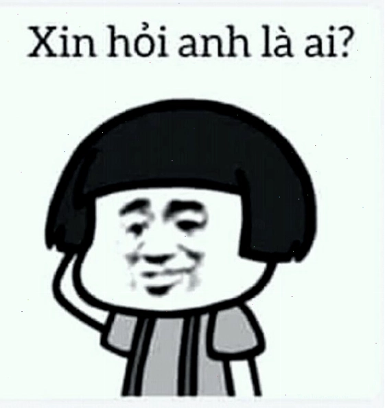 Mặt gấu meme ngu ngơ