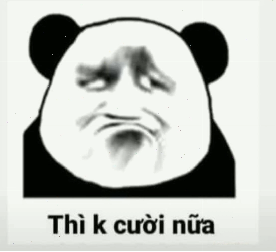 Mặt gấu meme với biểu cảm không thể nhịn cười
