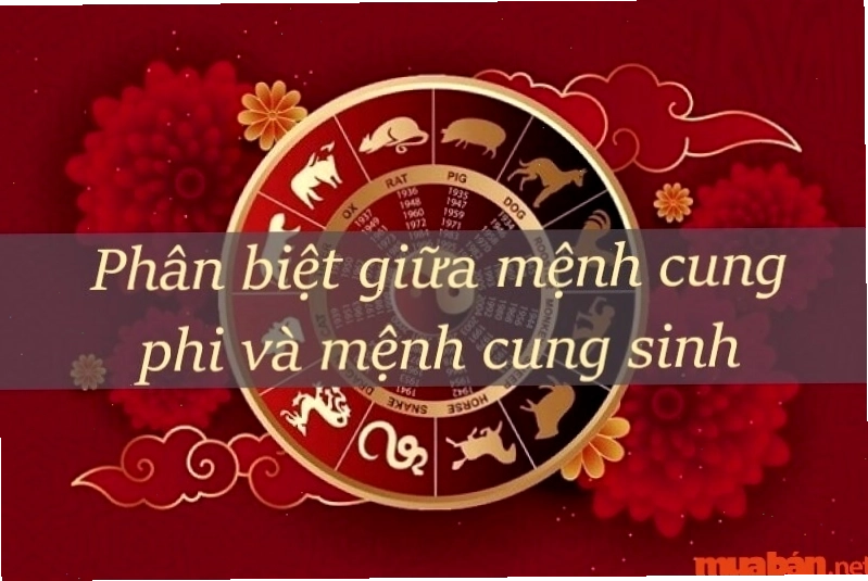 Màu sắc hợp mệnh trong phong thủy