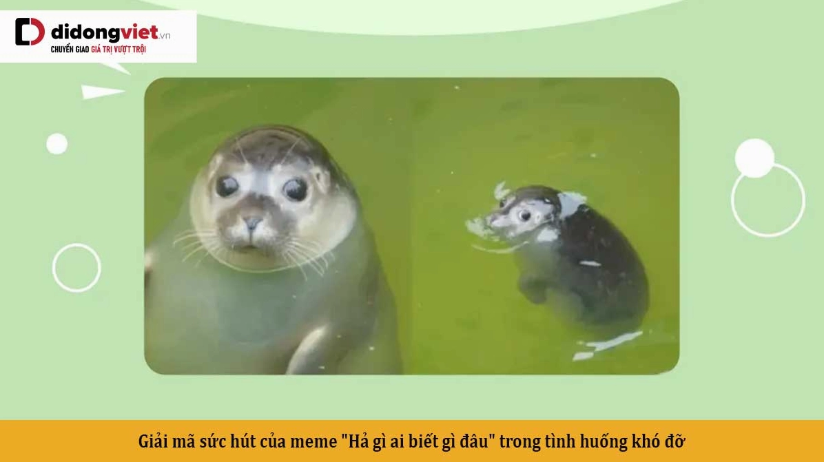 Meme 'Ai biết gì đâu': Nguồn vui bất tận trên mạng xã hội