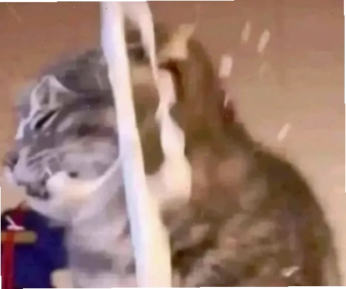Meme Bắn Tùm Lum siêu nhây bựa phù hợp cà khịa những gì quá nóng bỏng sexy