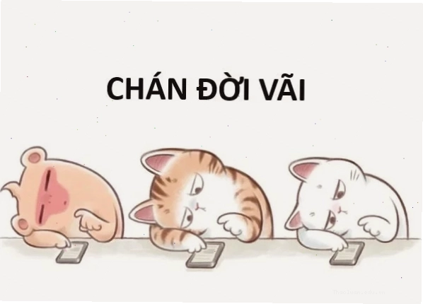Meme chán 12 cho thấy sự quá tải trong công việc