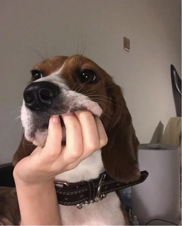 Meme chán 5 với ánh mắt lờ đờ