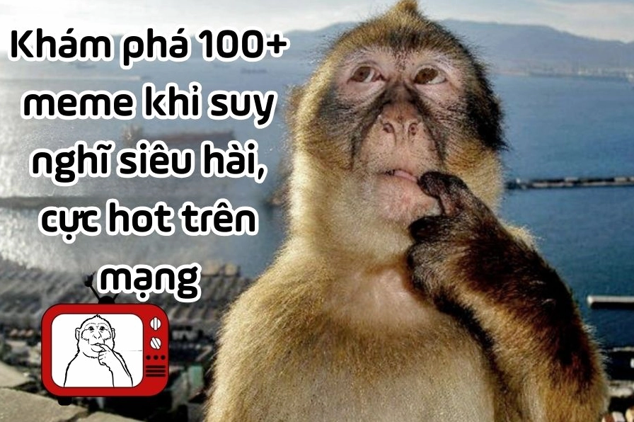 Meme con khỉ suy nghĩ: Biểu tượng hài hước và ý nghĩa trên mạng xã hội