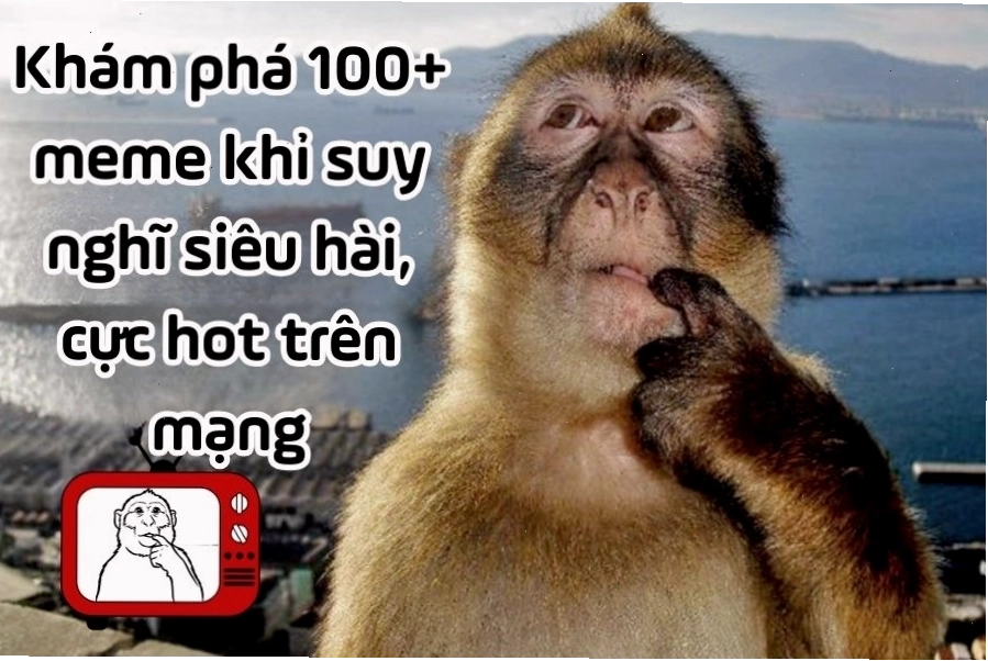 Meme con khỉ suy nghĩ thể hiện biểu cảm hài hước