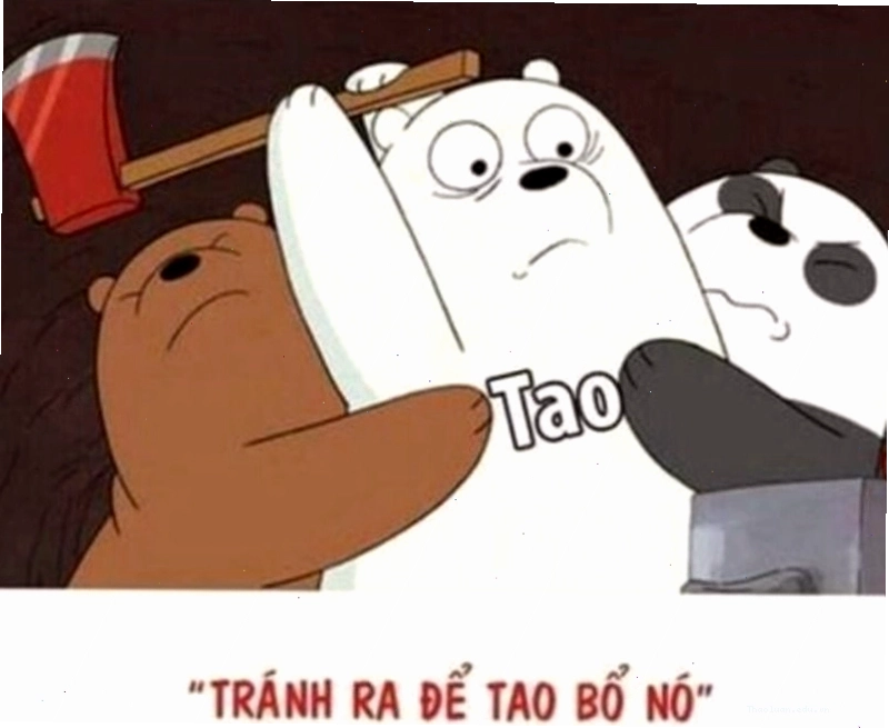 Meme đánh nhau hình ảnh động vật đáng yêu