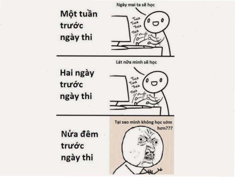 Meme hài cười cảnh ôn tập trước ngày thi