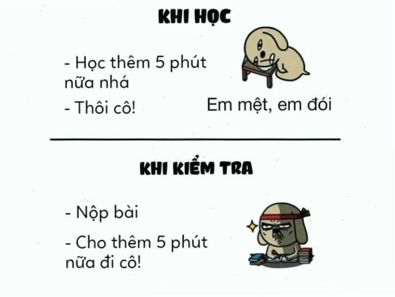 Meme hài cười so sánh 5 phút khi học và khi kiểm tra