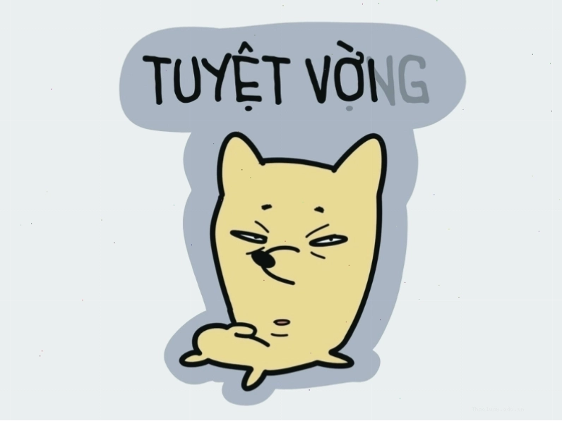 Meme hài cười thể hiện trạng thái tuyệt vời và tuyệt vọng