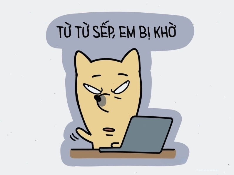 Meme hài cười về việc bị sếp giao việc khó
