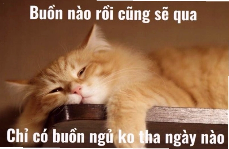 Meme hài hước về việc đi ngủ