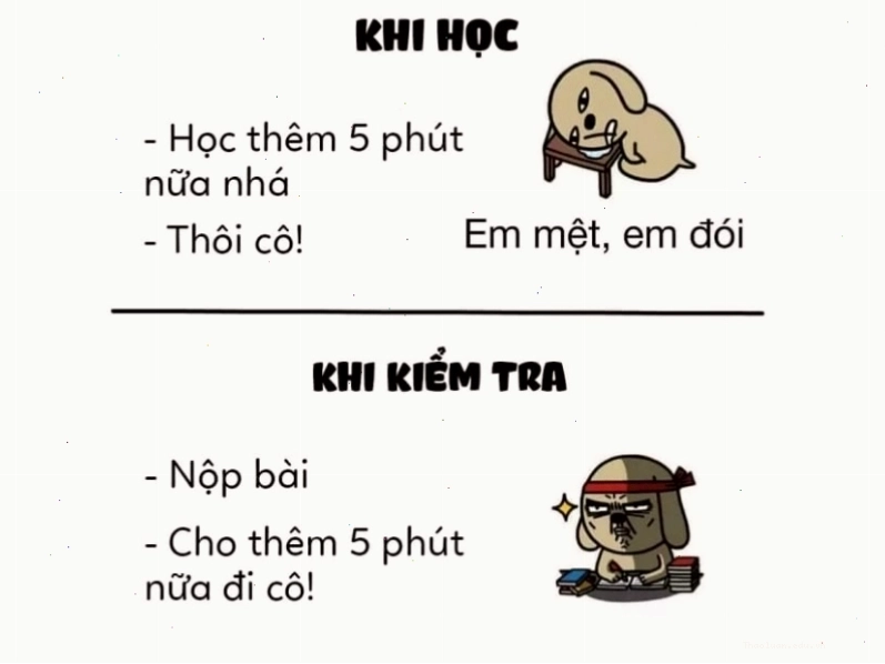 Meme hài: Meme 5 phút khi học và khi kiểm tra