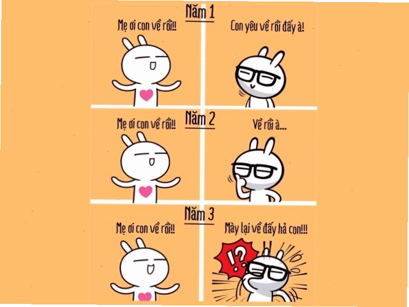 Meme hài: Meme thái độ phụ huynh 3 năm đại học với con