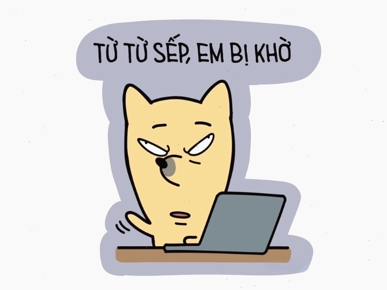 Meme hài: Meme từ từ sếp, em bị khờ