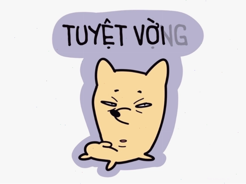 Meme hài: Meme tuyệt vời và tuyệt vọng