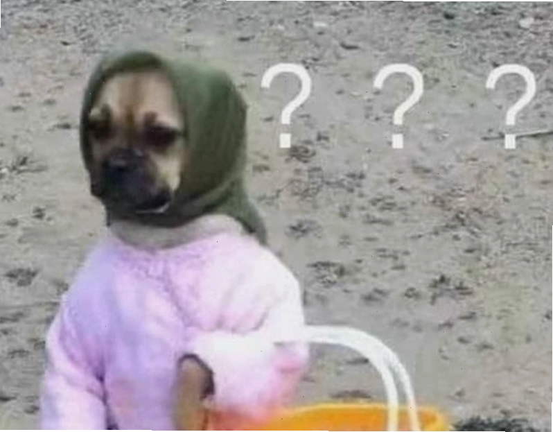 Meme hỏi chấm hài hước gây cười
