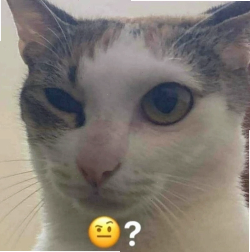 Meme hỏi chấm hình mèo dễ thương