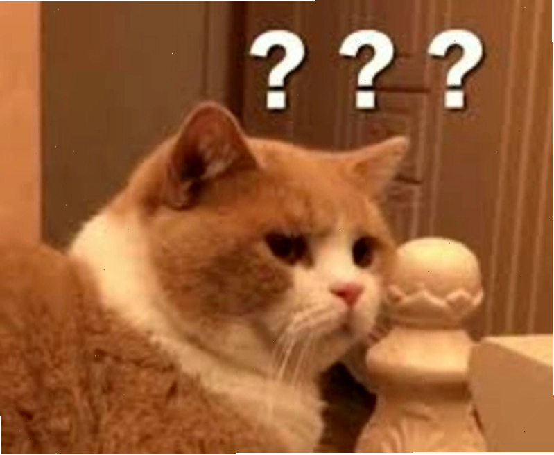 Meme hỏi chấm hình mèo dễ thương