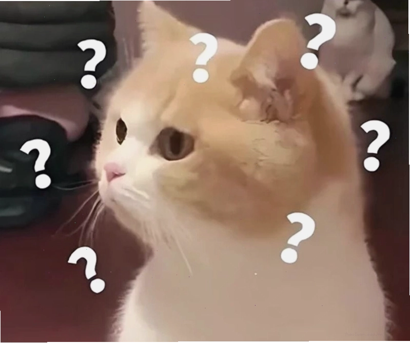 Meme hỏi chấm hình mèo dễ thương