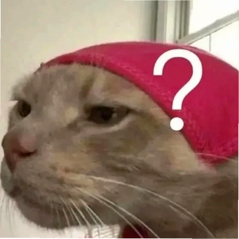Meme hỏi chấm hình mèo dễ thương
