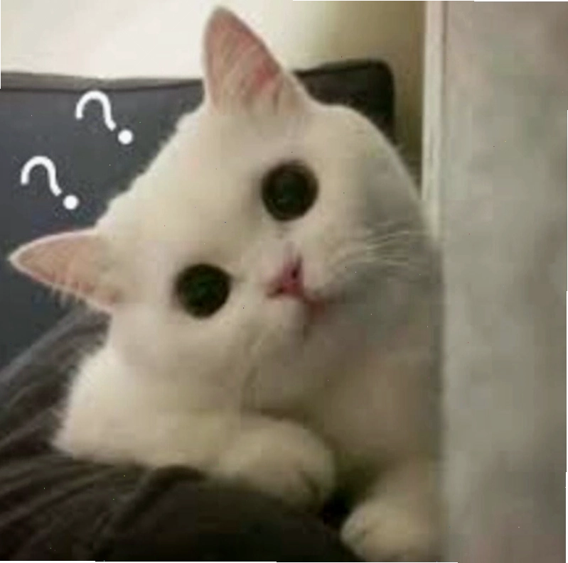 Meme hỏi chấm hình mèo dễ thương