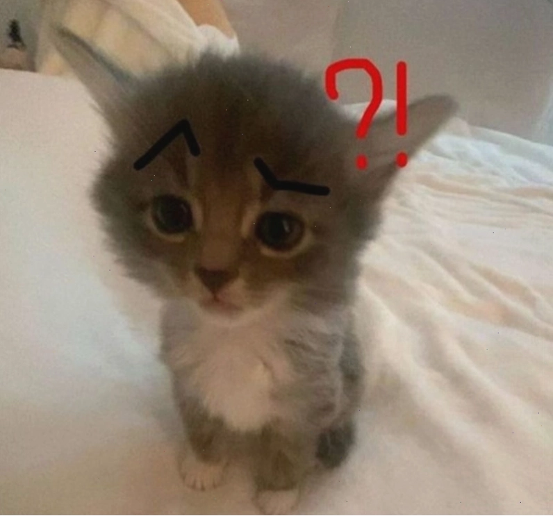 Meme hỏi chấm hình mèo dễ thương