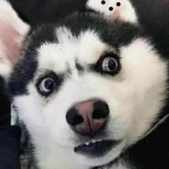 Meme khỉ liếc mắt với biểu cảm lém lỉnh và tinh ranh