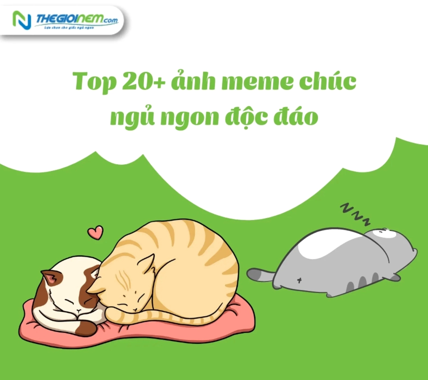 Meme mới ngủ dậy: Tổng hợp khoảnh khắc hài hước và đáng yêu