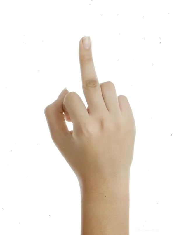 Meme ngón giữa của nhân vật hoạt hình